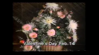 February 10, 1991 commercials