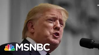 Tyranny Expert: Like Past Authoritarians, The Truth Doesn't Matter To Trump | The 11th Hour | MSNBC