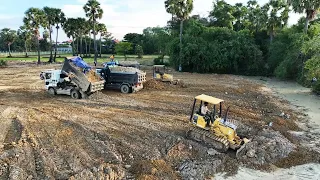 Wonderful Land Filling Up At Palm Field Mini KOMATSU Bulldozer And Mini Dump Truck Moving Dirt