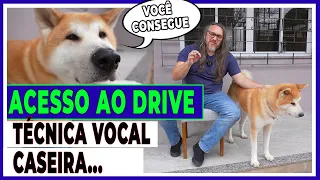 APRENDA DRIVE DE UM JEITO DIVERTIDO