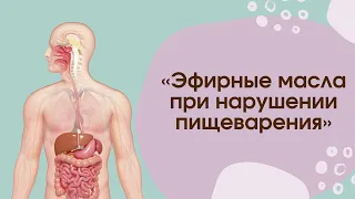 Эфирные масла и пищеварение