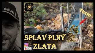 SPLAV PLNÝ NÁDHERNÉHO ZLATA - moc pěkný den plný žlutého štěstí