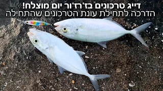 דייג טרכונים בז'רז'ור יום מוצלח הדרכה לתחילת עונת הטרכונים שהתחילה איך לדוג כל מכה כשפוגשים את הלהקה