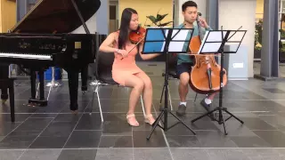 Love Theme from Romeo and Juliet (Violin and Cello)