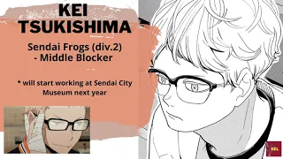 Haikyuu Post-Timeskips | Team Karasuno Current Jobs and Professions