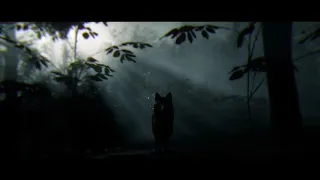 The Black Wolf in Arthur’s Visions - Red Dead Redemption 2
