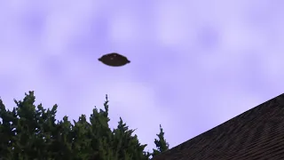UFO Sighting #3! (*VFX*)