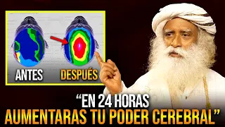 AUMENTRÁS x10 TU PODER CEREBRAL en 24hrs! - Practica AHORA esta Técnica Para Perfeccionar Su Cerebro