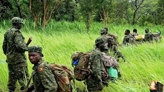 Première audience pour un ex-rebelle centrafricain devant la CPI