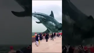 OMG😱😱 || Whale jump to the out side public😳😳  || #shorts #subscribe