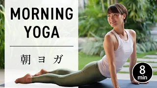 [8 minutes] Easy morning yoga for beginners #648