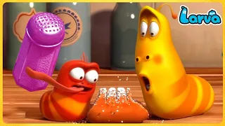 Larva Full  Episode | 1 Hour Compilation 🍟 Cartoons - Comedy - Comics 🥟 New Animation Movies 2022