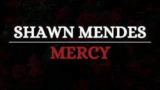 Shawn Mendes - Mercy (Letra/Tradução)