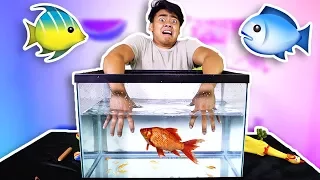 WHATS IN THE BOX - UNDERWATER EDITION!