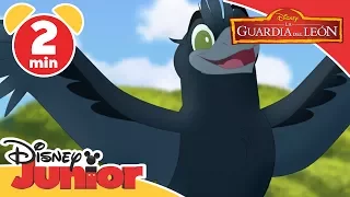 La Guardia del León: Momentos Musicales - El pájaro de las mil voces | Disney Junior Oficial