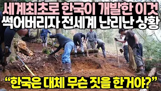 세계최초로 한국이 개발한 이것 썩어버리자 전세계 난리난 상황 // "한국은 대체 무슨 짓을 한거야?"