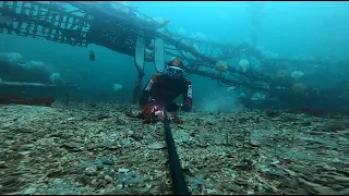Edmonds underwater dive park