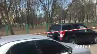 У Львові біля школи впало дерево, пошкодивши електроопори