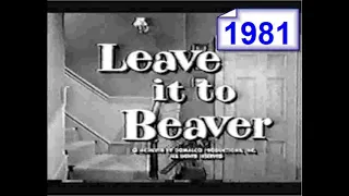 Leave it to Beaver 1981 Beaver gets kidnapped