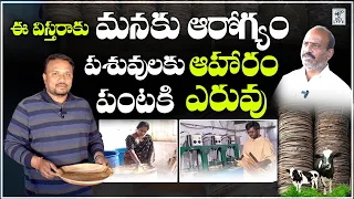 ECO-FRIENDLY DISPOSABLE  LEAF PLATE  ||  Leaf Plates Manufacturing Business||  #siddipet  @KEYLIFE1