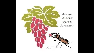Каталог винограда 2018 (Панченко)