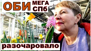 Поехала за покупками в ОБИ Мега Дыбенко СПБ и осталась полностью разочарована