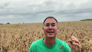 Yield Robbers in Soybeans; Top Crop Agronomy Updates