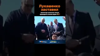 Лукашенко заставил министра ковырять землю #viral #belarus #russia