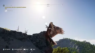 Assassin’s Creed® Odyssey Location of the Armored Bird in Arkadia