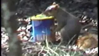 That Squirrel is Nuts! Steals can of peanuts.