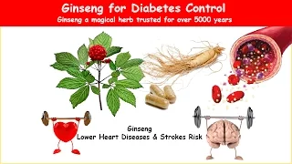Ginseng Diabetes Herb Lower Blood Sugar