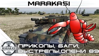 World of Tanks приколы, баги, выстрелы, рикошеты, олени, читы wot (88)