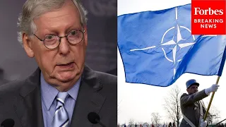 Mitch McConnell Pleased With NATO Alliance's 'Realism' Regarding China's Threat