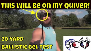 iron will wide solid broadhead ballistic gel test | bco review |