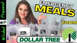Add these meals to your Prepper Pantry - Dollar Tree Challenge! Survive SHTF | Prepare on a Budget