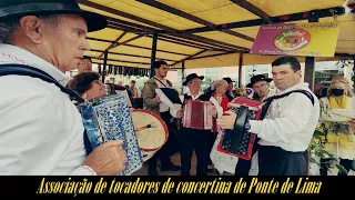 Vira e torna a virar - Associação de tocadores de concertina de Ponte de Lima