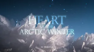 HEART OF THE ARCTIC WINTER - 4K Norway time-lapse