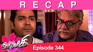 RECAP : Naayagi Episode 344, 05/04/19