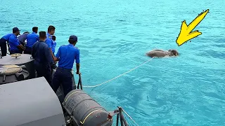 Something is floating in the water. The sailors scream in horror when they realize what it is!