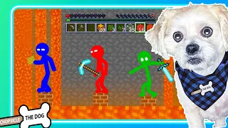 Monster School Stickman Animation - Reaction Video by @ChopsicleTheDog