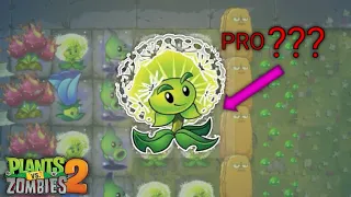 This plant is able to defeat zombie bosses in pvp!!! || PvZ2 v11.2.1