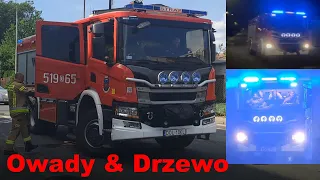 Dwa Wyjazdy Zastępu 519[D]65 GBA 3/16 Scania P360 z OSP KSRG Twardogóra do miejscowych zagrożeń.