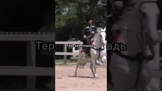 Kabardian (Circassian) horses.🔥