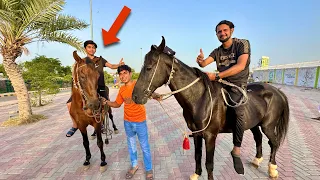 Subscriber Or Mamu Ko Horse Ride Seekha Di 😍