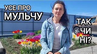 Для чого та чим мульчувати землю. Види мульчі. Основні помилки мульчування #мульчування #біодобриво