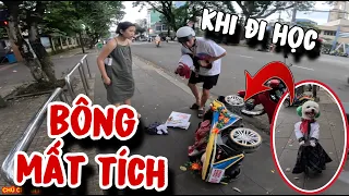 BÔNG BÉ BỎNG "MẤT TÍCH" KHI ĐI HỌC 😭 | CHÚ CHÓ ĐI HAI CHÂN