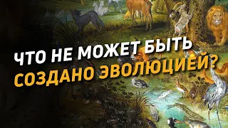 Что не может быть создано эволюцией? Разбор статьи Н.Лосского