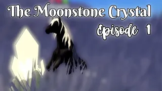 The Moonstone Crystal - Episode 1 - The Day My Word Turned Upside Down | Wild Horse Islands