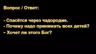 Д. Самарин. Урок экзегетики. Вопрос по деторождению. МСЦ ЕХБ