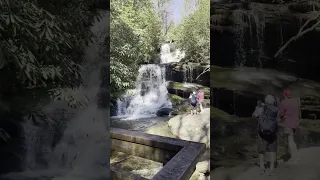 Come on a hike with me.  The Bartram Trail - Warwoman Dell Hike with gorgeous Waterfalls.